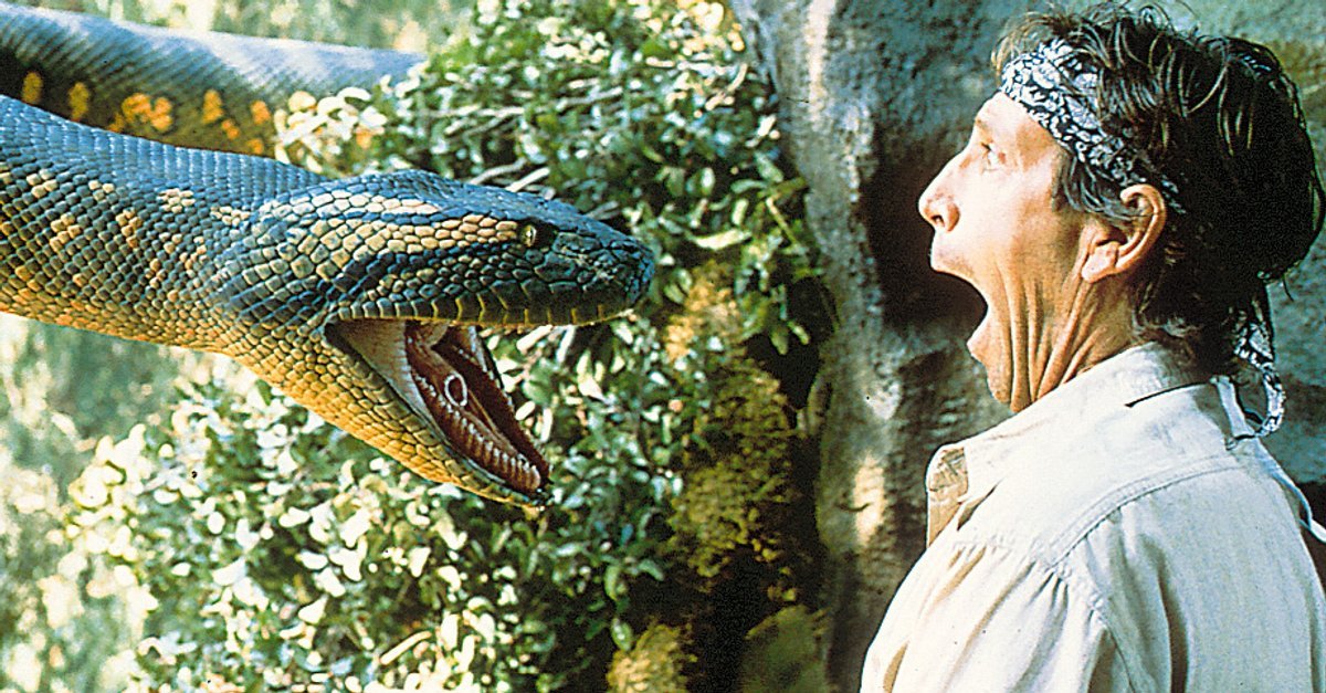 Selton Mello Anaconda