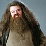 Hagrid Harry Potter