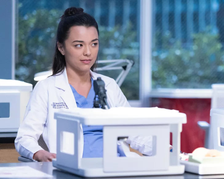 Grey’s Anatomy 22 temporada